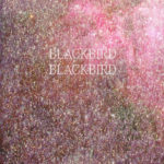 Blackbird Blackbird 'Summerheart LP'