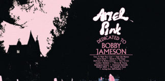 Ariel Pink - Dedicated To Bobby Jameson cover