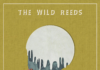 The Wild Reeds - The World We Built cover