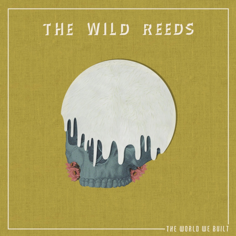 The Wild Reeds - The World We Built cover