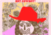 Hey Cowboy! - The Soft Kind album art