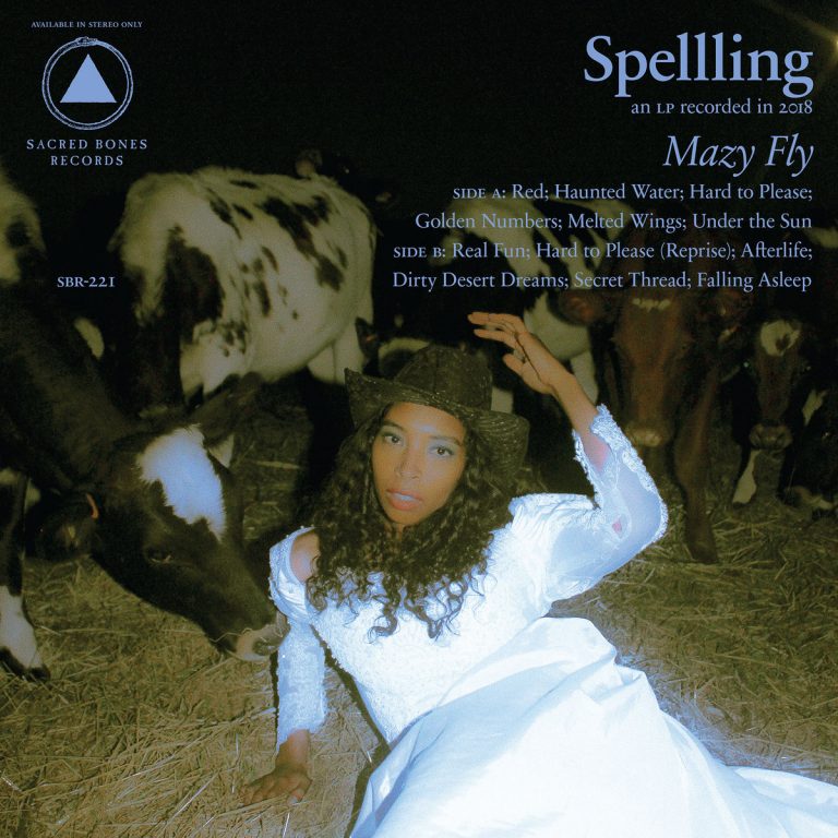 SPELLLING – Mazy Fly