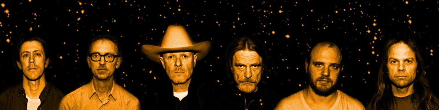 MtLitD: Swans