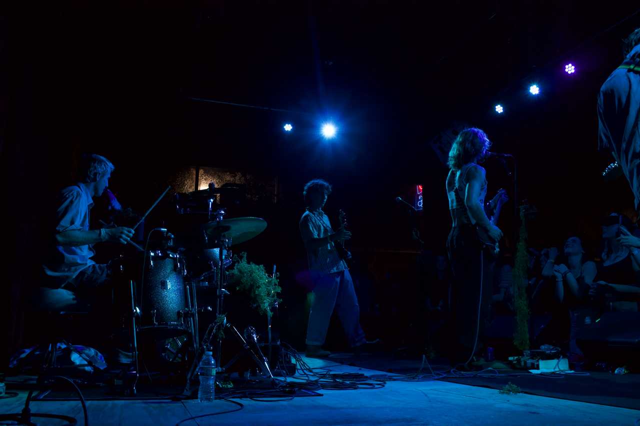 The Moss Dive Into Dada