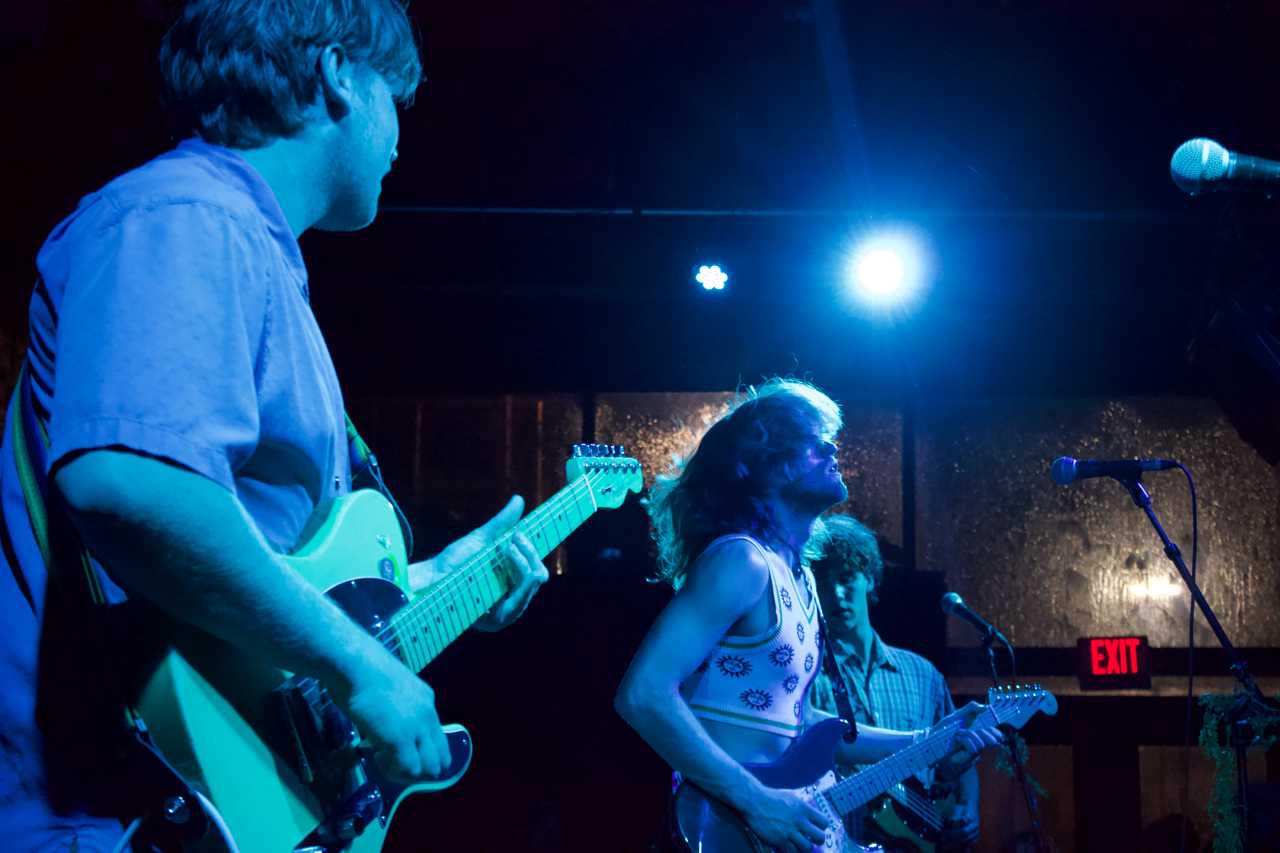 The Moss Dive Into Dada