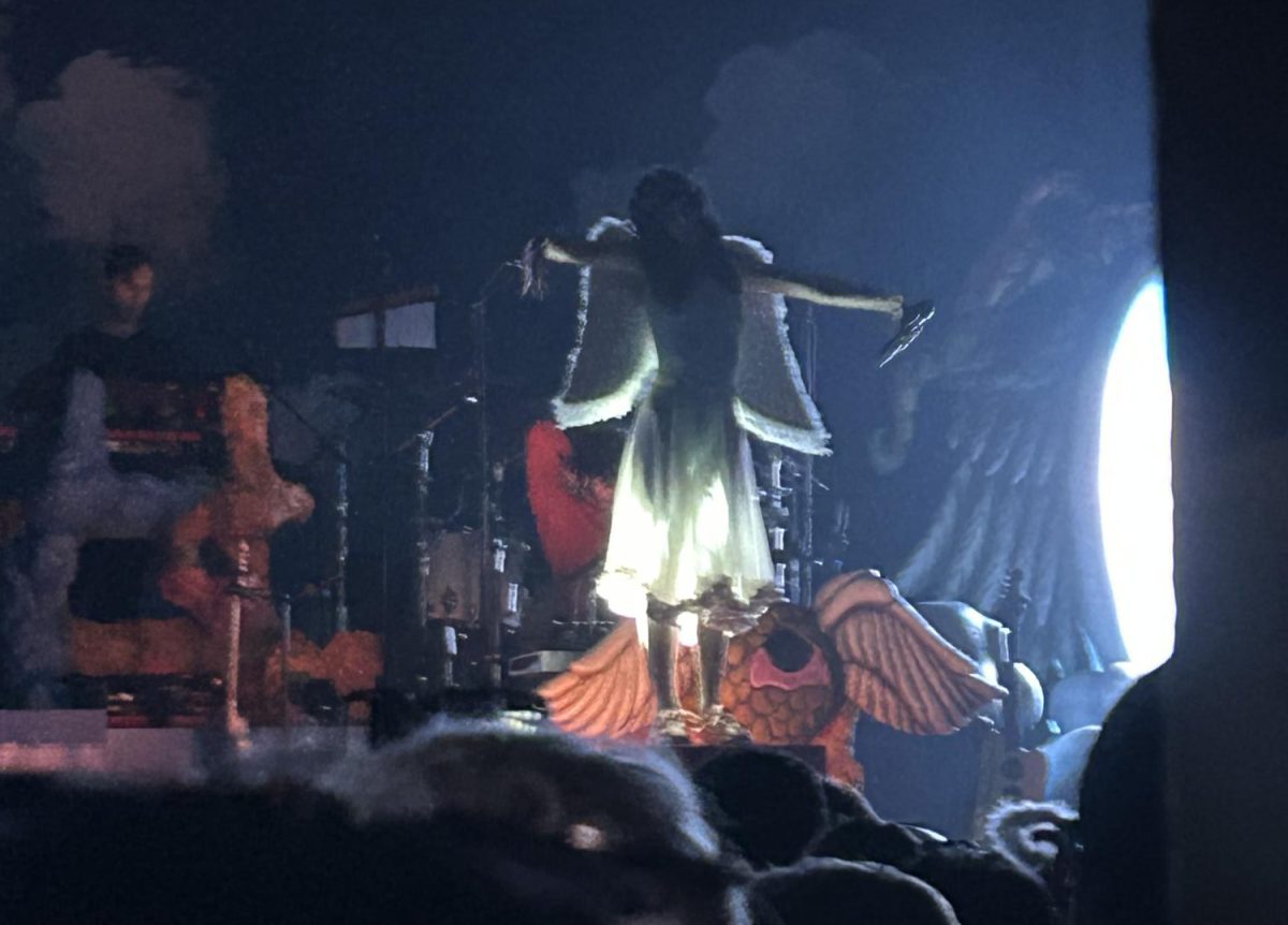 (Image)ine you're at the Magdalena Bay Concert